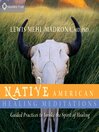 Cover image for Native American Healing Meditations